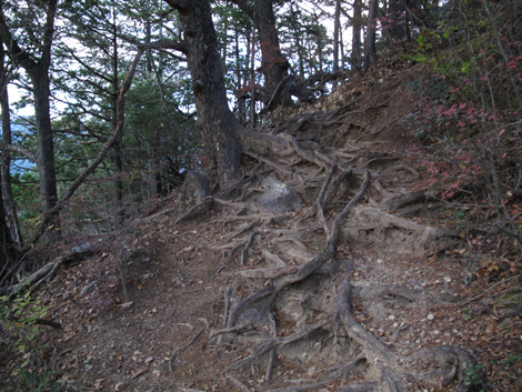 20171116hike (350)
